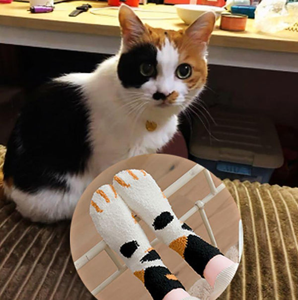 Chaussettes Pattes De Chat