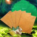 Compresses à base de plantes & Gingembre (lot de 10)